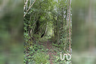 achat maison trebons 65200