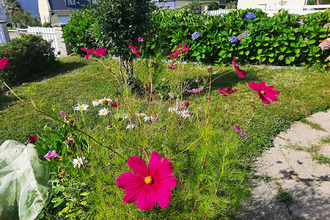 achat maison tregunc 29910