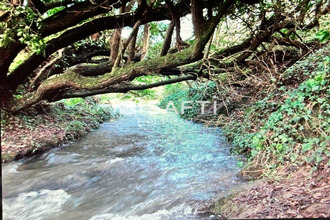 achat maison treogat 29720