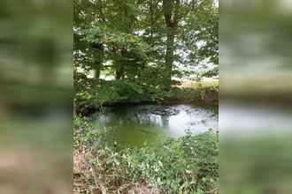 achat maison tresson 72440