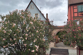 achat maison turckheim 68230