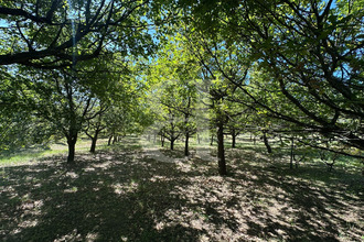 achat maison vaison-la-romaine 84110