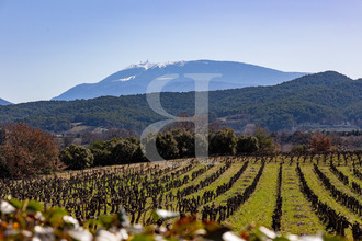 achat maison vaison-la-romaine 84110