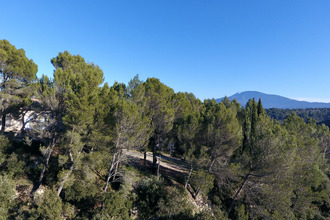 achat maison vaison-la-romaine 84110