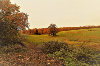 achat maison valence-d-albigeois 81340