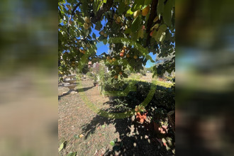 achat maison vallauris 06220