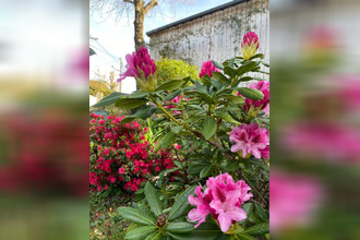 achat maison vannes 56000