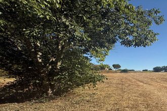 achat maison verargues 34400