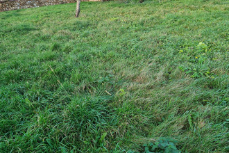 achat maison vernon 27200