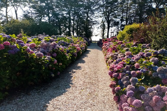 achat maison veules-les-roses 76980