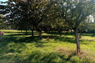 achat maison veules-les-roses 76980