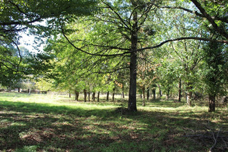 achat maison vezins 49340