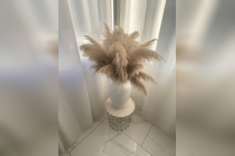 achat maison vias 34450