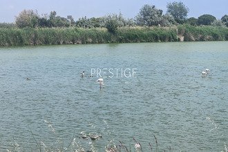 achat maison vic-la-gardiole 34110