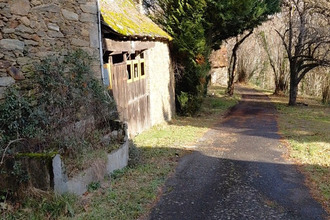 achat maison vieillevie 15120