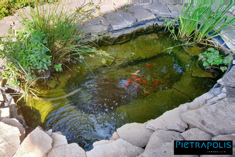 achat maison vienne 38200