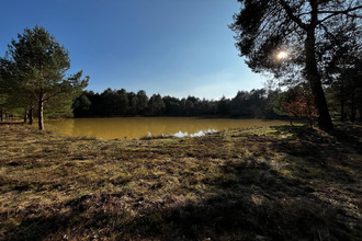 achat maison vienne-en-val 45510