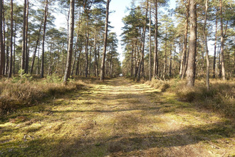 achat maison vienne-en-val 45510