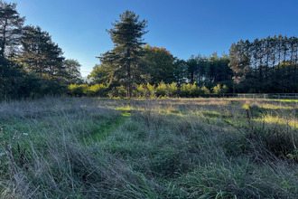 achat maison vienne-en-val 45510