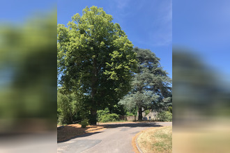 achat maison vierzon 18100