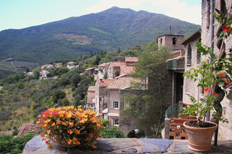 achat maison vieussan 34390