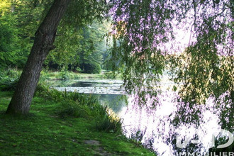 achat maison ville-d-avray 92410