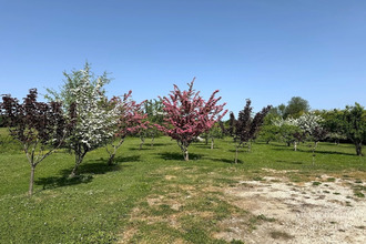 achat maison villefranche-de-lonchat 24610