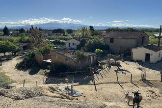 achat maison villemolaque 66300