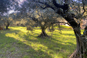 achat maison villeneuve 04180