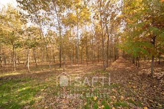 achat maison villeneuve-de-marsan 40190