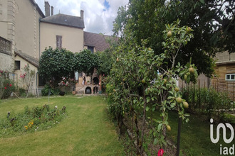 achat maison villeneuve-sur-allier 03460