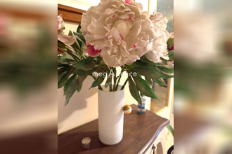 achat maison villeneuve-sur-yonne 89500