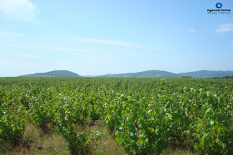 achat maison villie-morgon 69910