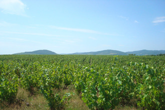 achat maison villie-morgon 69910