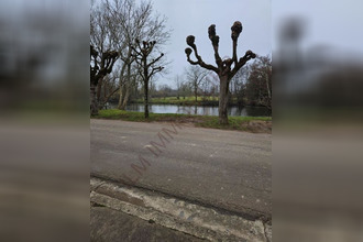 achat maison vincelottes 89290