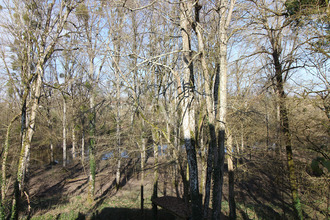 achat maison vineuil 41350