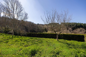 achat maison violay 42780