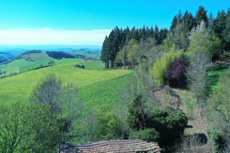 achat maison violay 42780