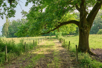 achat maison viry 74580