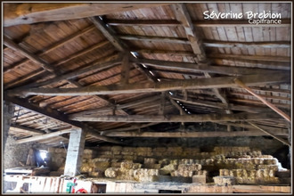 achat maison viscomtat 63250