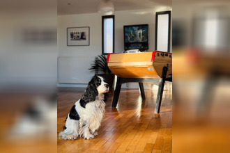 achat maison vitre 35500