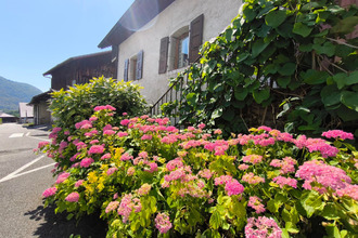 achat maison viuz-en-sallaz 74250