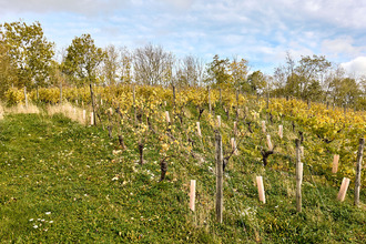 achat maison voiteur 39210