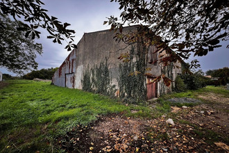 achat maison vouhe 17700