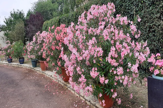 achat maison vouneuil-sous-biard 86580