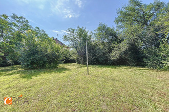 achat maison wittelsheim 68310