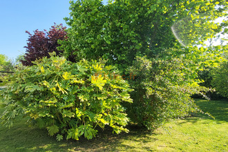 achat maison yvetot 76190