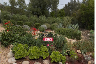 achat maison zonza 20144