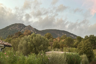 achat maison zonza 20144