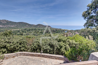 achat maison zonza 20144